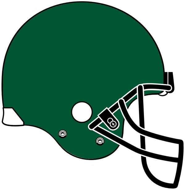 Tulane Green Wave 2005 Helmet Logo iron on transfers for clothing